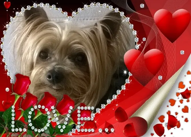 Condolence image of Gabriele