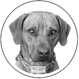 Condolence image of Britta