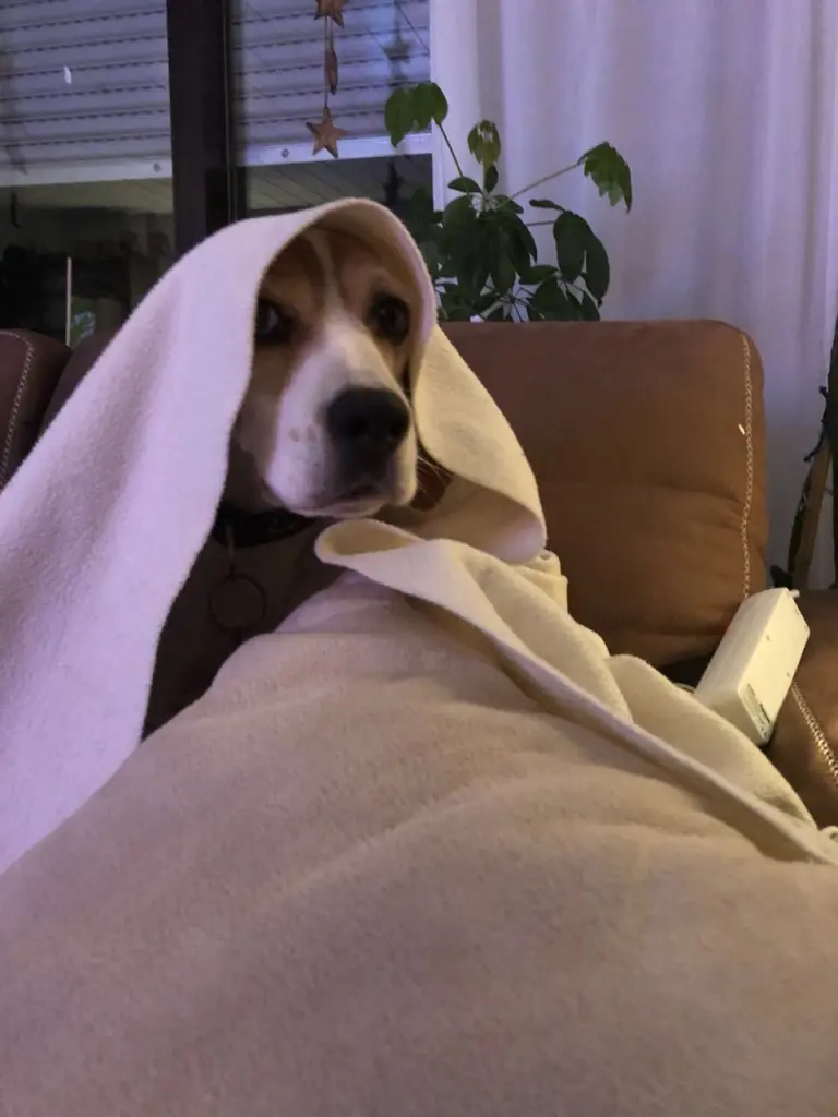 Condolence image of Nicole Augenstein