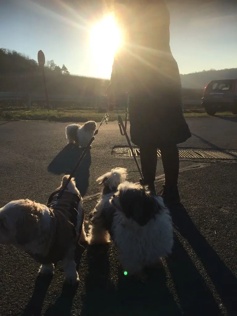 Condolence image of Marika mit Balou und Hippo im Herzen