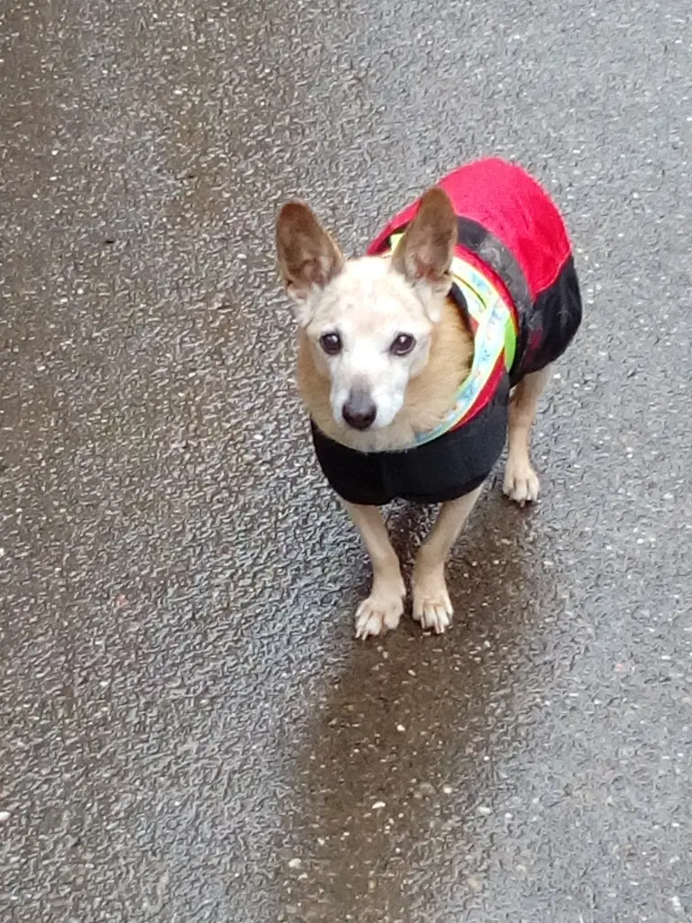 Andachtsbild von Michaela mit Nicko ganz tief im Herzen