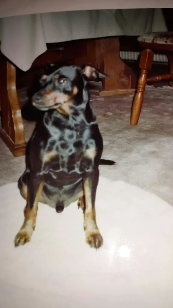 Andachtsbild von Marga mit Rambo im Herzen