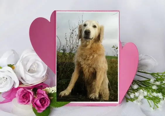 Andachtsbild von ❤️❤️❤️