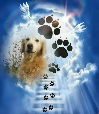 Andachtsbild von ❤️❤️❤️