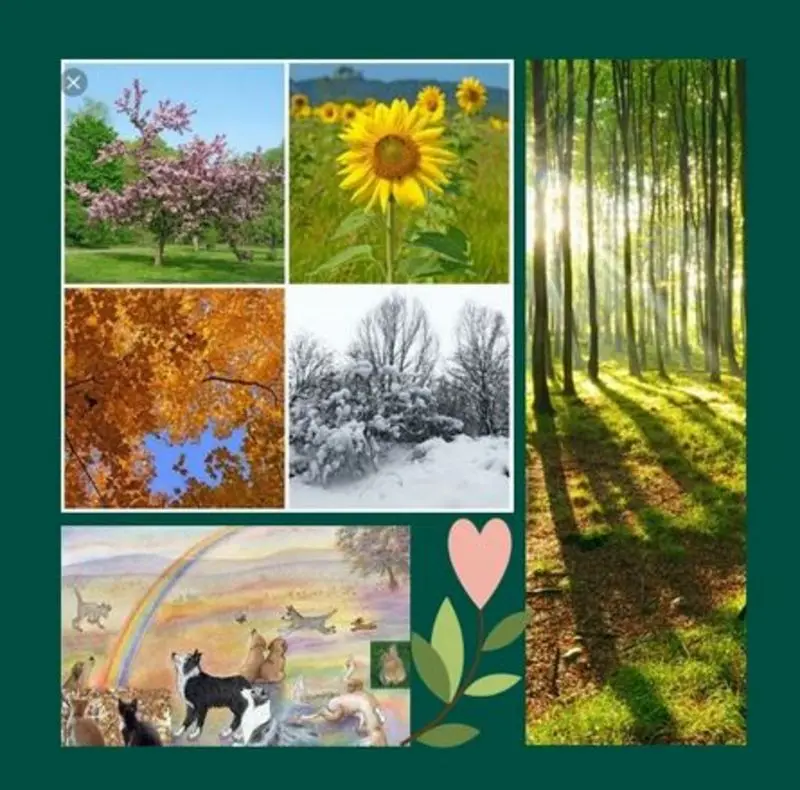 Andachtsbild von Eine Geschichte für Merlin & Friends 