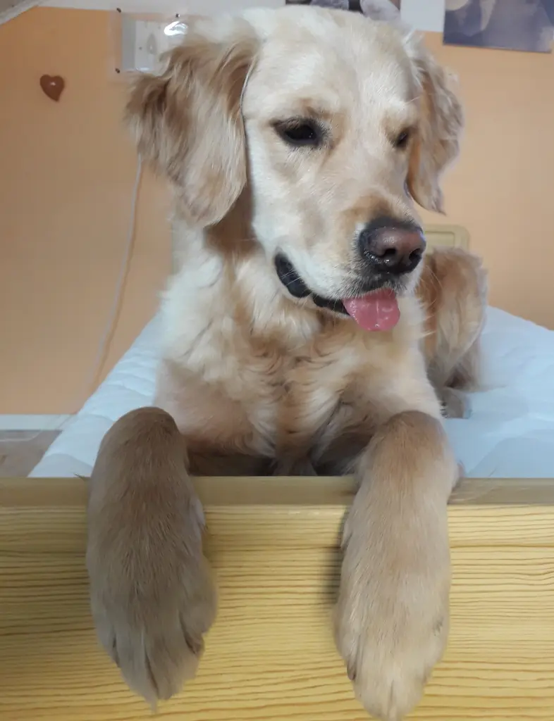 Andachtsbild von Unbekannt