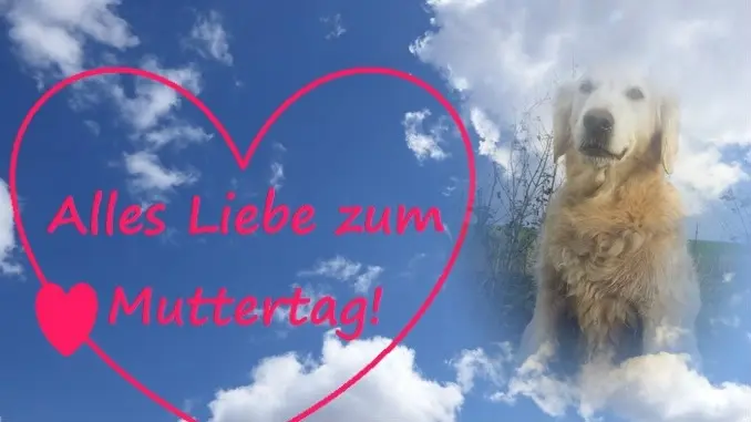 Andachtsbild von ❤️Mama❤️