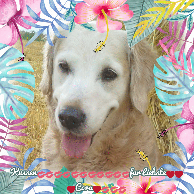 Andachtsbild von ❤️❤️❤️