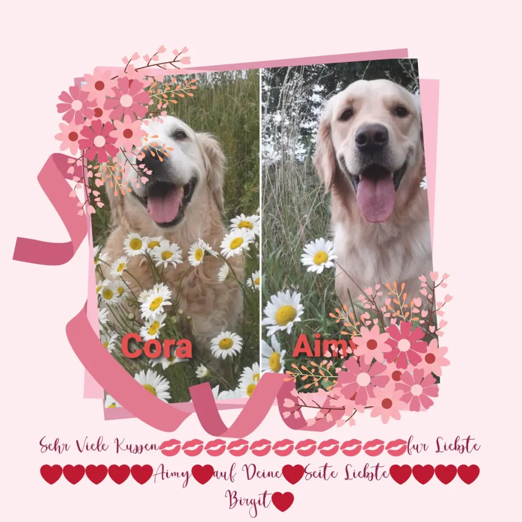 Andachtsbild von ❤️❤️❤️