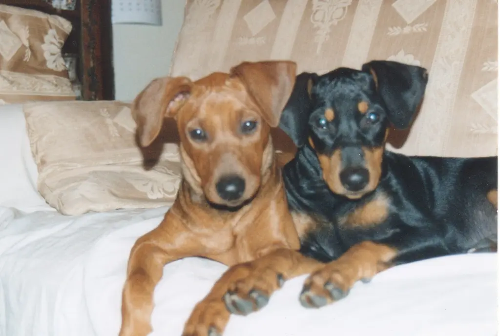 Andachtsbild von Gaby