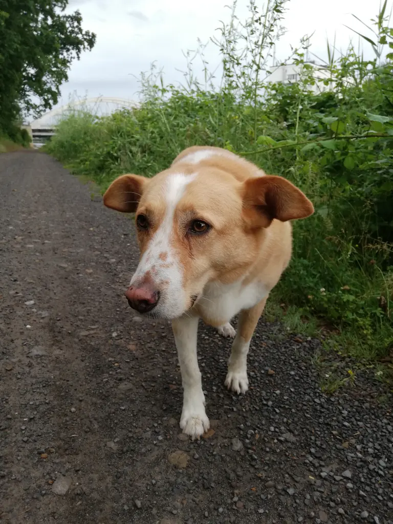 Andachtsbild von Anja & Christof 