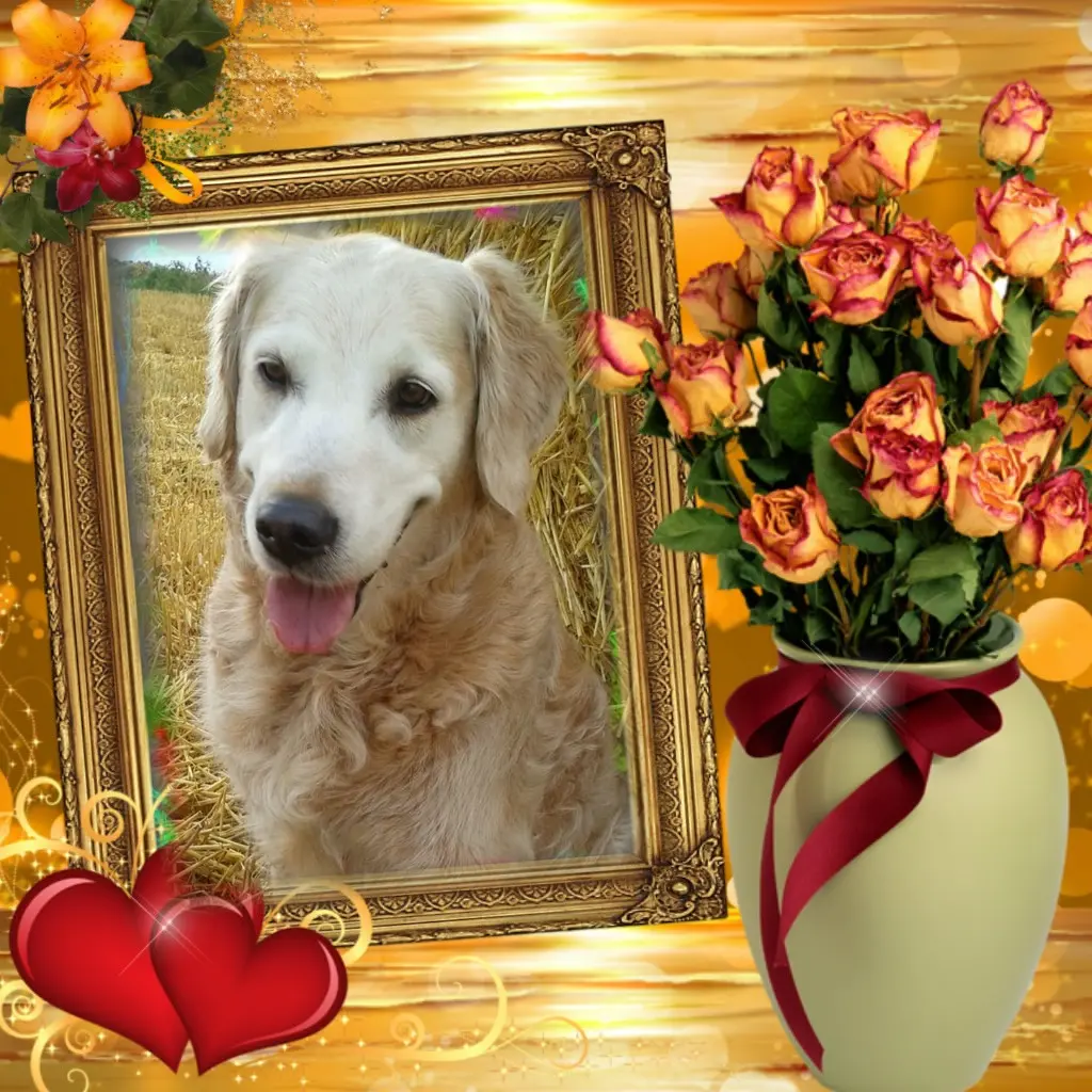 Andachtsbild von 2.Jahre.....Ohne Dich❤️....