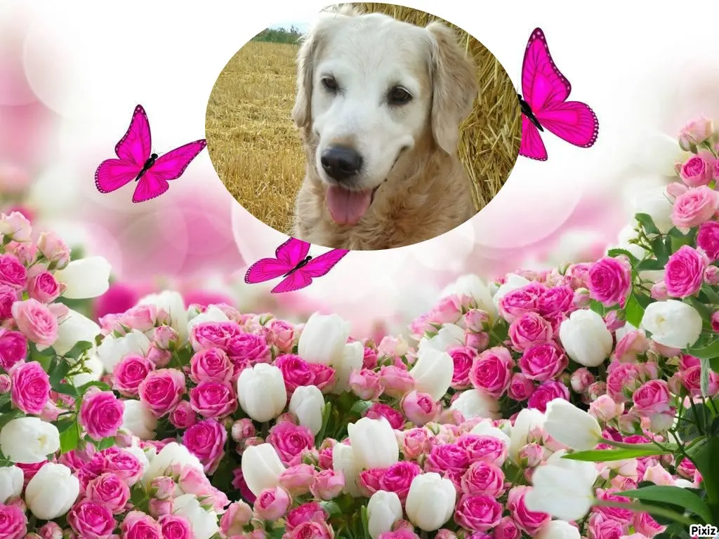 Andachtsbild von ❤️❤️❤️