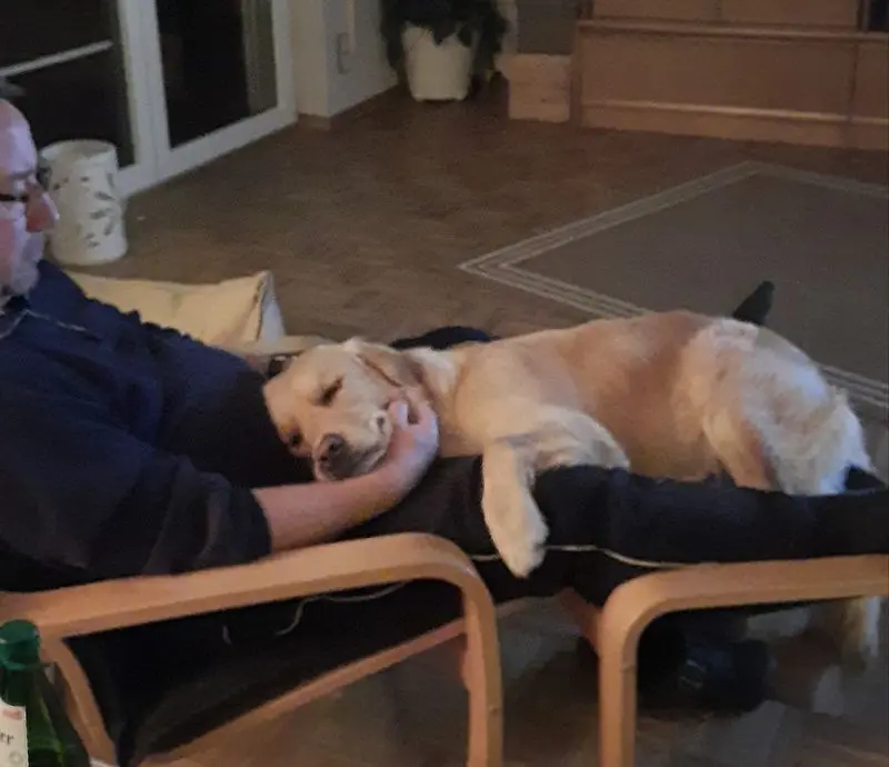 Andachtsbild von Frauchen ❤