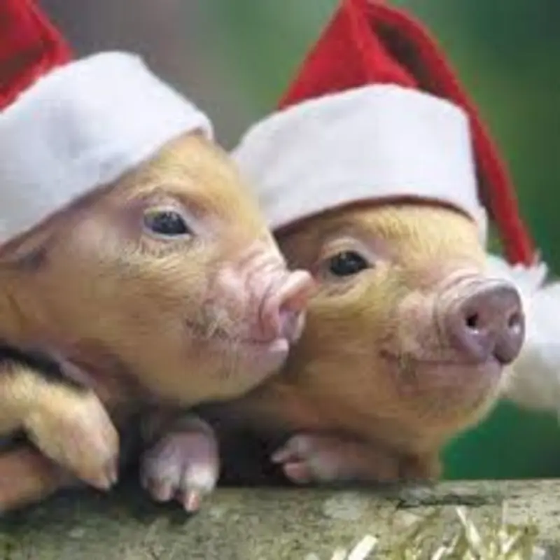 Andachtsbild von Marika mit Hippo & Balou im Herzen