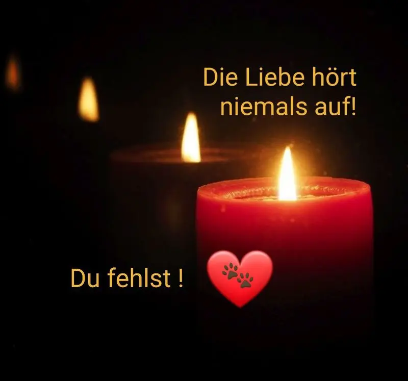 Andachtsbild von Frauchen  ♥️