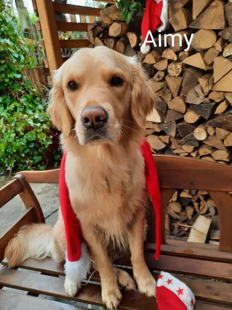 Andachtsbild von Von Aimy