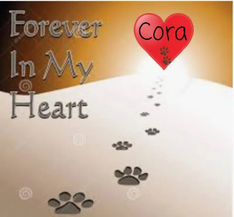 Andachtsbild von Unbekannt