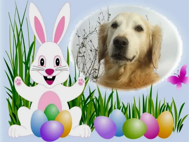 Andachtsbild von ❤️❤️❤️