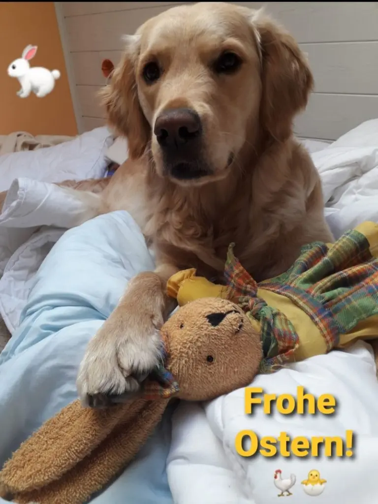 Andachtsbild von Unbekannt