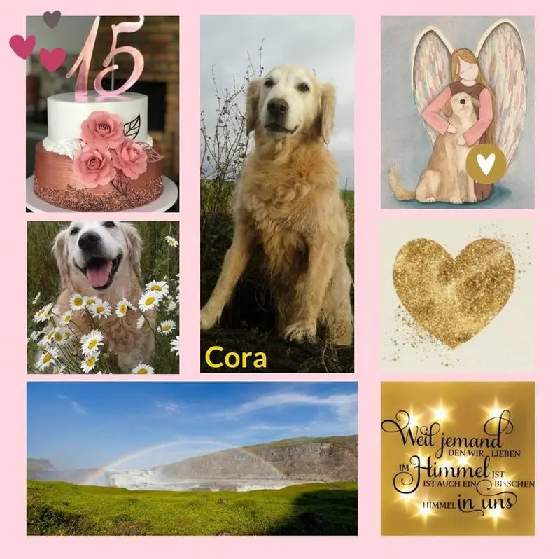 Andachtsbild von Geburtstagsrosen für Cora 