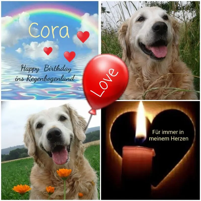 Andachtsbild von Mama u. Papa