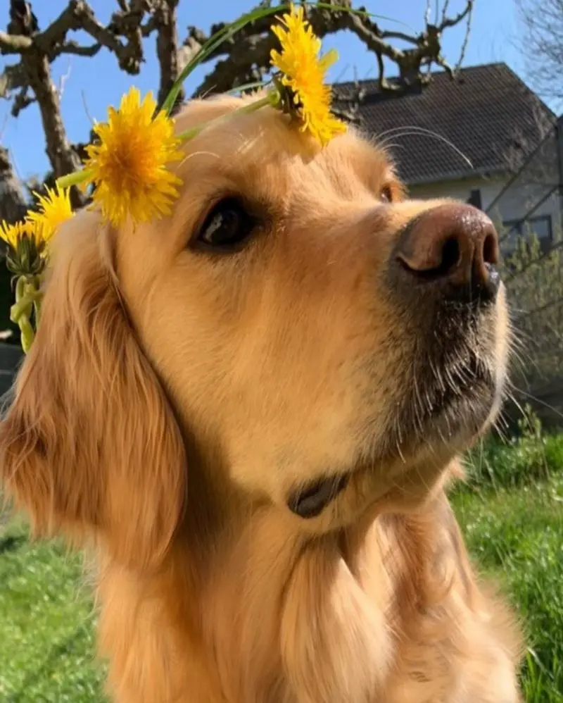 Andachtsbild von Unbekannt