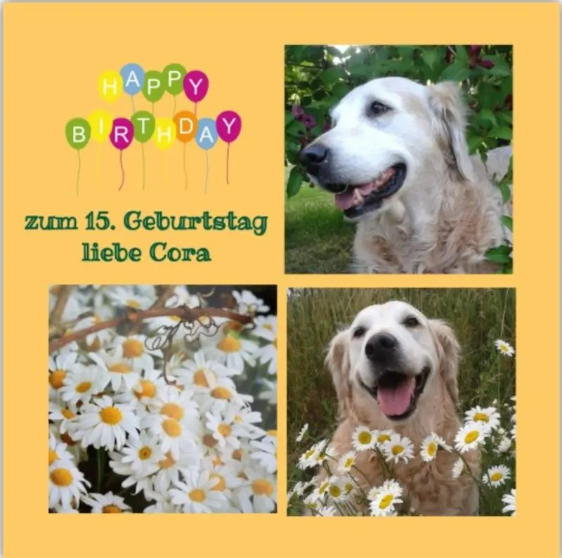 Andachtsbild von Rosen für Cora zum 15. Geburtstag