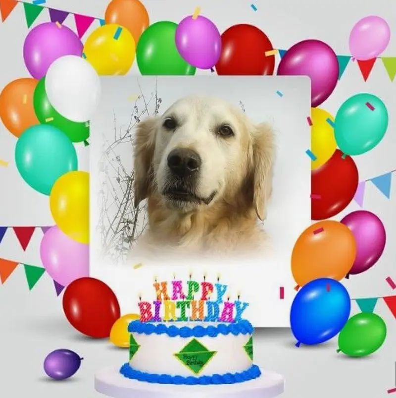 Andachtsbild von GEBURTSTAG❤️❤️❤️KIND❤️