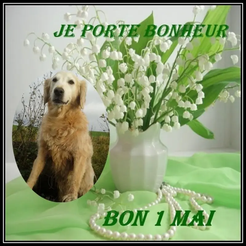 Andachtsbild von ❤️❤️❤️❤️❤️❤️❤️❤️❤️❤️❤️❤️❤️❤️