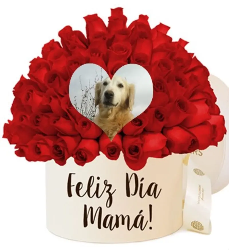 Andachtsbild von ❤️Mama❤️