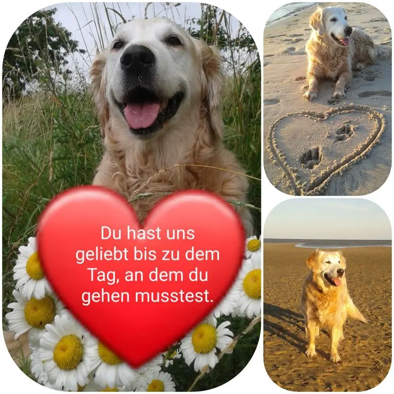 Andachtsbild von Mama