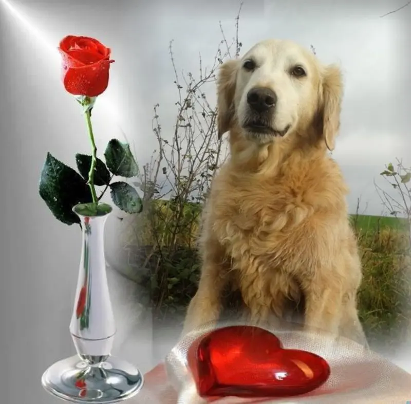 Andachtsbild von DANKE SCHON❤️❤️❤️