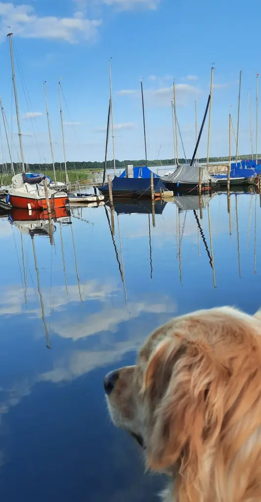 Andachtsbild von Mama ♥️