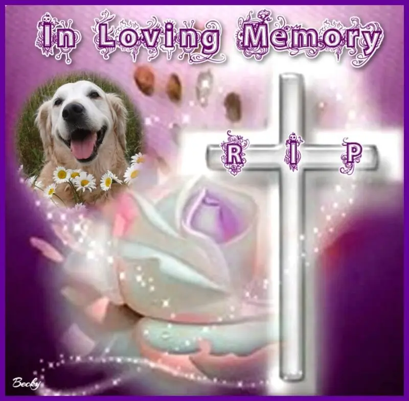 Andachtsbild von ❤️❤️❤️❤️❤️❤️❤️❤️❤️❤️❤️❤️❤️❤️