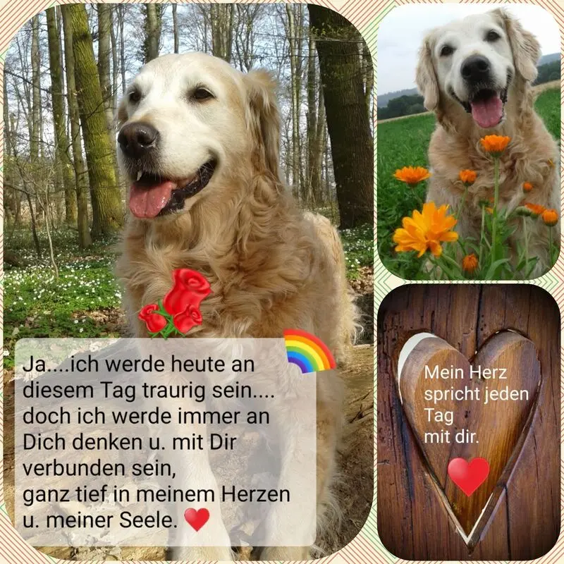 Andachtsbild von Unbekannt