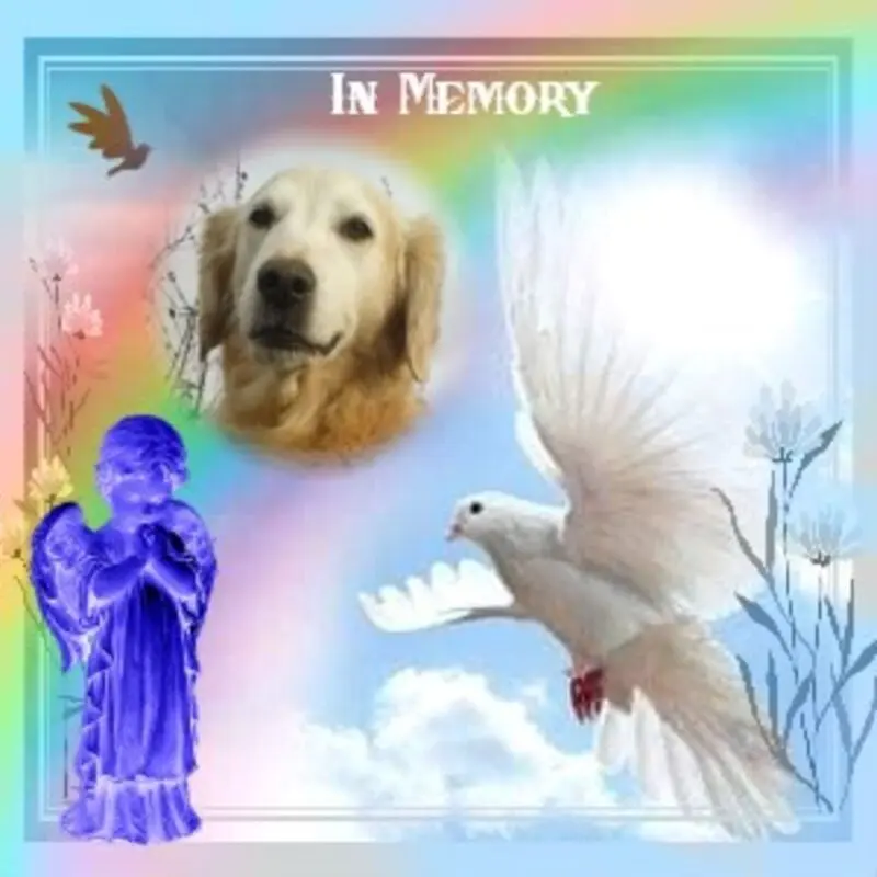 Andachtsbild von ❤️❤️❤️❤️❤️❤️❤️❤️❤️❤️❤️❤️❤️❤️