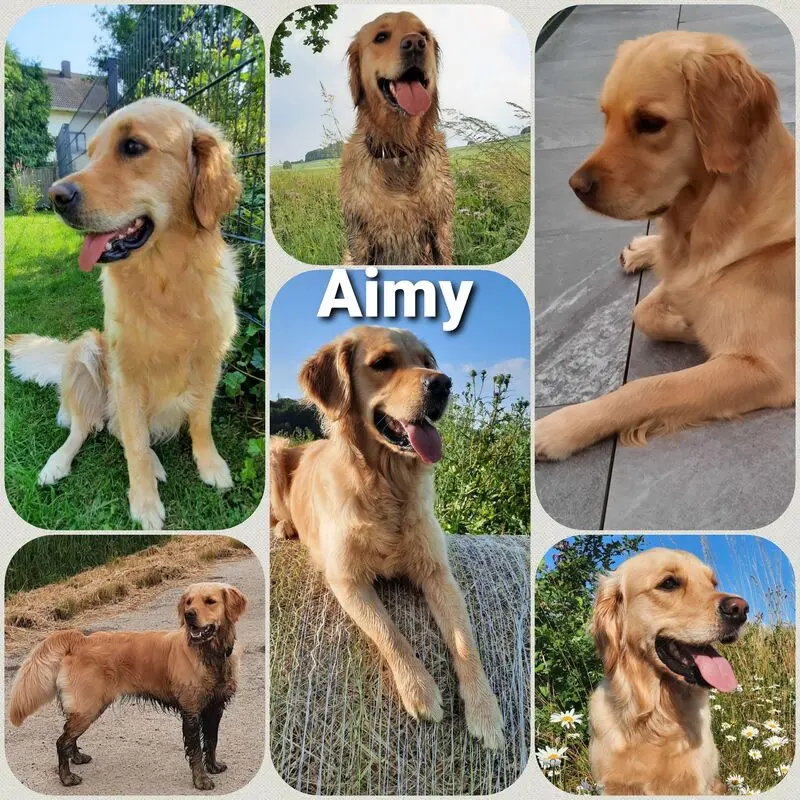 Andachtsbild von Aimy