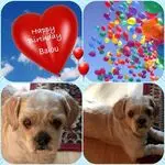 Andachtsbild von Marika