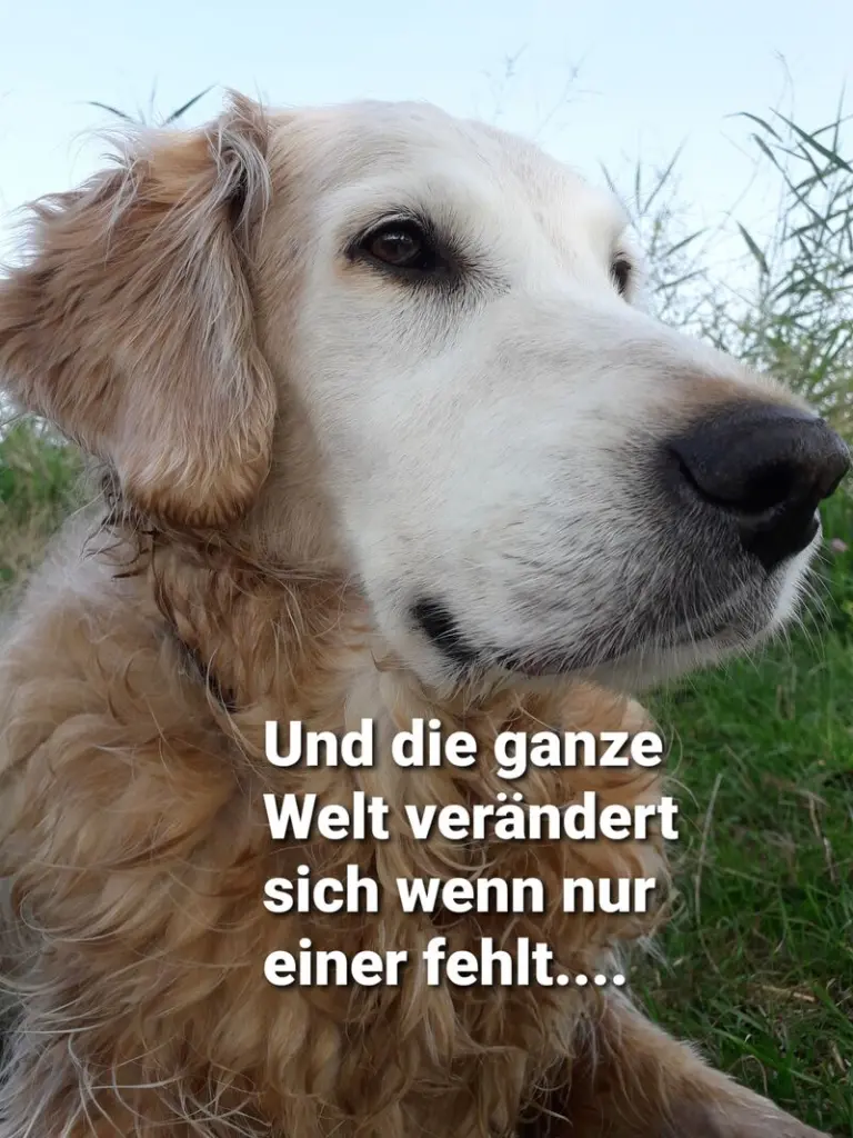 Andachtsbild von Mama ♥️