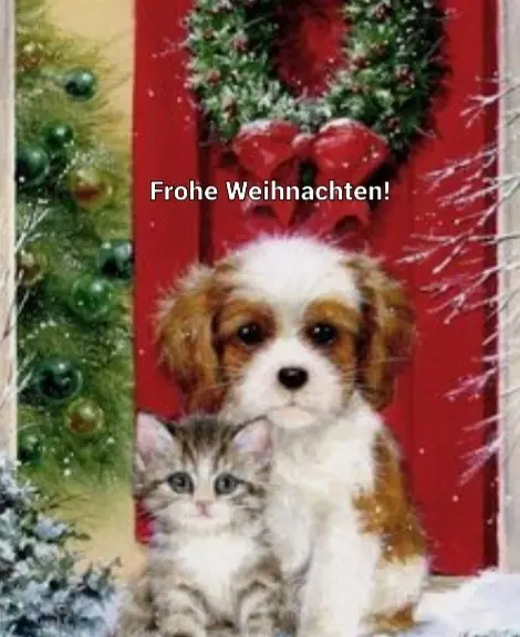 Andachtsbild von Frauchen