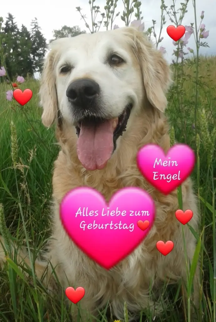 Andachtsbild von Unbekannt