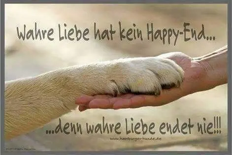 Andachtsbild von Für das liebe Sternchen Cora ♥️