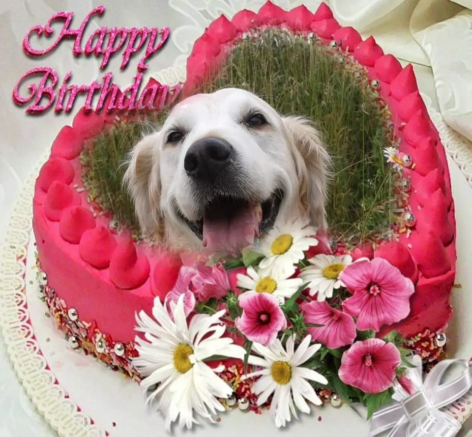 Andachtsbild von 16.Geburtstag❤️❤️❤️❤️❤️❤️❤️❤️❤️❤️❤️❤️❤️❤️❤️❤️❤️