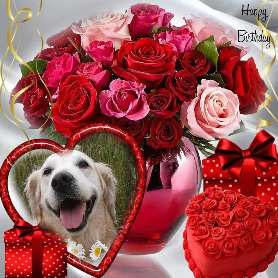 Andachtsbild von 16.Geburtstag❤️❤️❤️❤️❤️❤️❤️❤️❤️❤️❤️❤️❤️❤️❤️❤️❤️