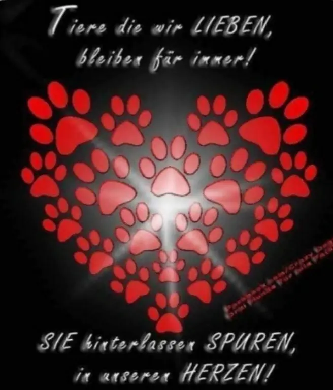 Andachtsbild von deinem ⭐chen