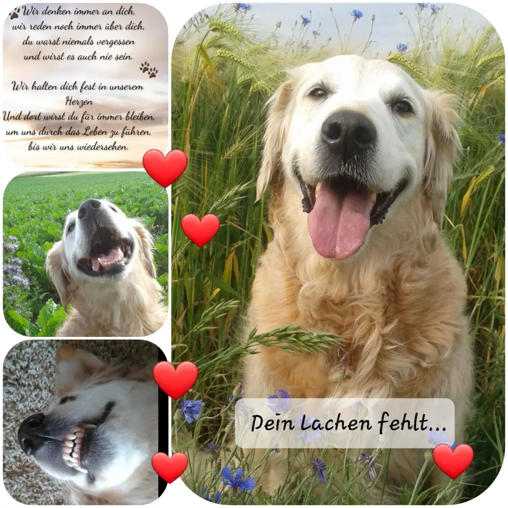 Andachtsbild von Zuhause ♥️♥️♥️