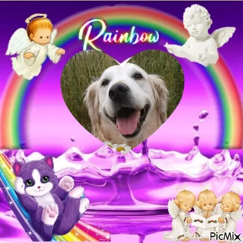 Andachtsbild von 4. STERNCHEN❤GEDENKTAG❤❤❤❤