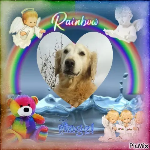 Andachtsbild von 4.Sternchen❤️Gedenktag❤️❤️❤️❤️