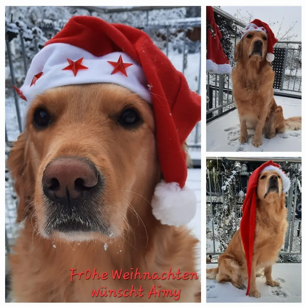 Andachtsbild von Unbekannt